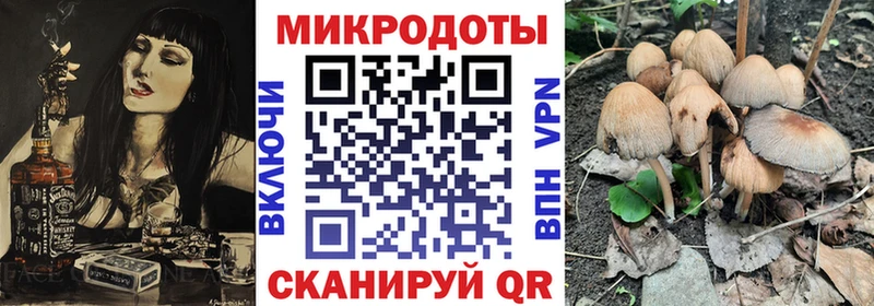 Псилоцибиновые грибы Magic Shrooms  Юрьев-Польский 